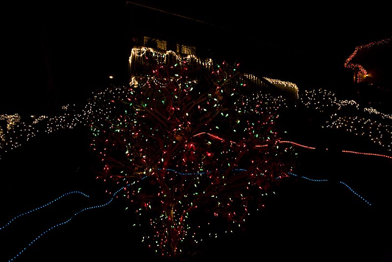 XmasLights-5764-Edit